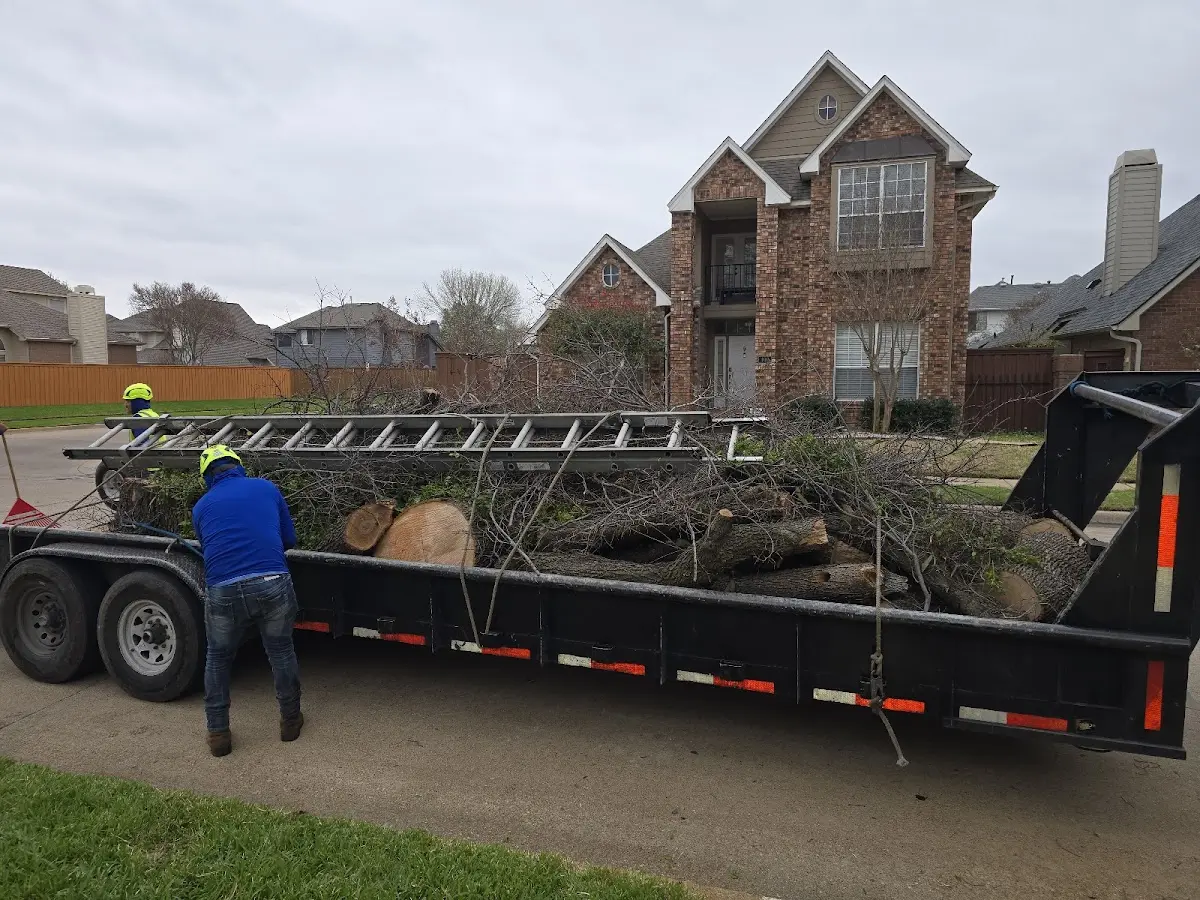 Expert Lot Clearing with proper safety equipment in Hyde Park